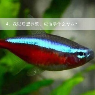 我以后想养殖，应该学什么专业？