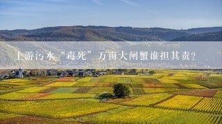 上游污水“毒死”万亩大闸蟹谁担其责？