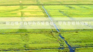 附近哪里有甲鱼养殖基地，甲鱼养殖场地址？