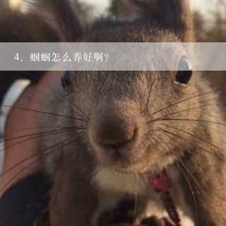 蝈蝈怎么养好啊？