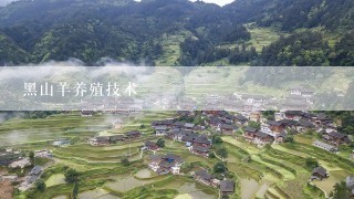 黑山羊养殖技术