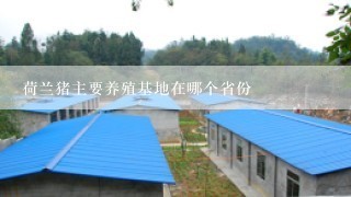 荷兰猪主要养殖基地在哪个省份