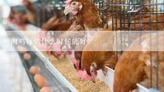 肉鸡行情什么时候能好？