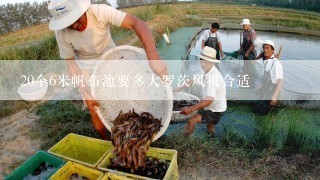 20个6米帆布池要多大罗茨风机合适