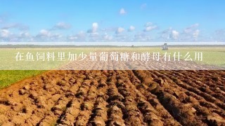 在鱼饲料里加少量葡萄糖和酵母有什么用