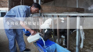 多肉花卉养殖知识大全