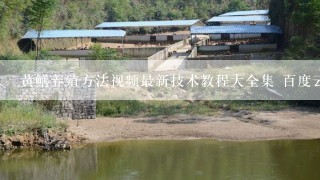 黄鳝养殖方法视频最新技术教程大全集 百度云网盘资