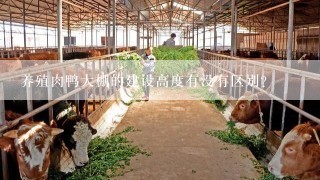 养殖肉鸭大棚的建设高度有没有区别？