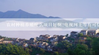 农村种植养殖什么项目好啊?电视网上等有可信的吗?