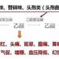 桂鱼应该怎么养_桂鱼的养殖方法