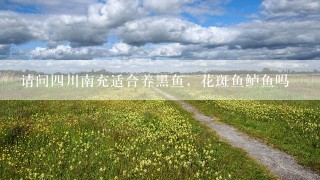 请问四川南充适合养黑鱼，花斑鱼鲈鱼吗