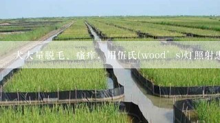 犬大量脱毛、瘙痒，用伍氏(wood’s)灯照射患部呈现苹果绿色荧光，可能的诊断是A.疥螨病B.脓皮症C.蠕形螨病D.马拉...