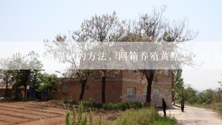 网箱养殖泥鳅的方法，网箱养殖黄鳝怎么过冬