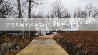 养殖期间突然降暴雨应采取什么措施？