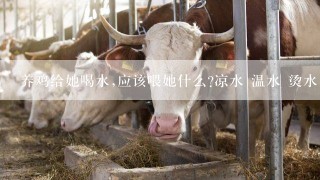 养鸡给她喝水,应该喂她什么?凉水 温水 烫水 凉开水?