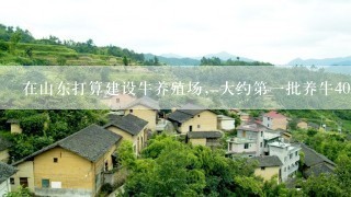 在山东打算建设牛养殖场，大约第一批养牛40头，大约多少资金？？跪求大神指点。