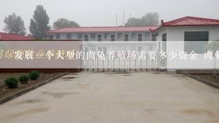 发展一个大型的肉兔养殖场需要多少资金 肉兔种兔多少钱一只