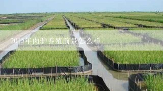 2015年肉驴养殖前景怎么样