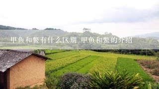 甲鱼和鳖有什么区别 甲鱼和鳖的介绍