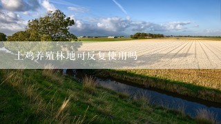 土鸡养殖林地可反复使用吗