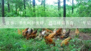 故事：书生呵护蜜蜂，建造蜂房养育，一年后，蜜蜂追