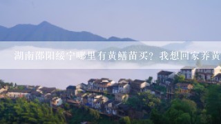 湖南邵阳绥宁哪里有黄鳝苗买？我想回家养黄鳝，谁有这方面的养殖技术跟黄鳝幼苗卖么？