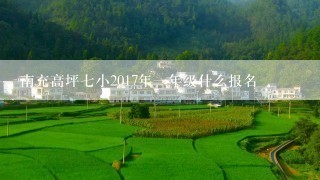 南充高坪七小2017年一年级什么报名