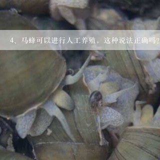 马蜂可以进行人工养殖，这种说法正确吗？