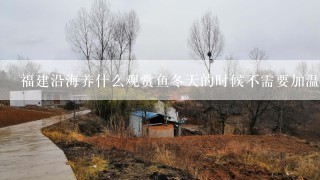 福建沿海养什么观赏鱼冬天的时候不需要加温棒？