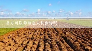 北方可以养殖意大利蜜蜂吗