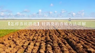 【怎样养杜鹃花】杜鹃花的养殖方法详解