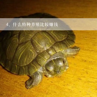 什么特种养殖比较赚钱