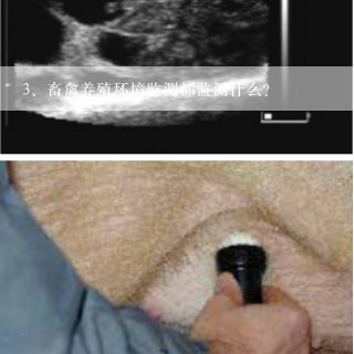 畜禽养殖环境监测都监测什么？