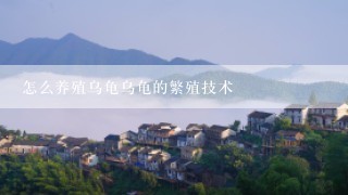 怎么养殖乌龟乌龟的繁殖技术