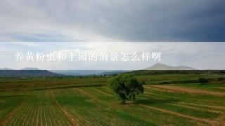 养黄粉虫和土园的前景怎么样啊