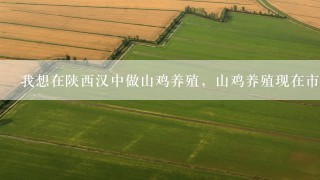 我想在陕西汉中做山鸡养殖，山鸡养殖现在市场怎么样？西安有酒店收购吗？养殖技术难吗？