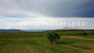 江苏南通农村地区种植或养殖什么能致富？