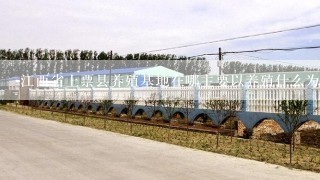 江西省上票县养殖基地在哪主要以养殖什么为主