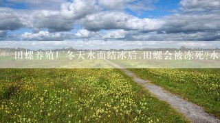 田螺养殖厂冬天水面结冰后.田螺会被冻死?水体缺氧而死吗?谢谢