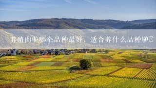 养殖肉驴哪个品种最好，适合养什么品种驴E