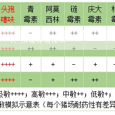 田螺养殖技术