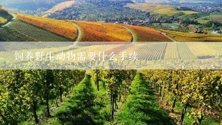 饲养野生动物需要什么手续