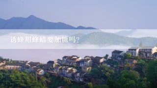 诱蜂用蜂蜡要加糖吗？