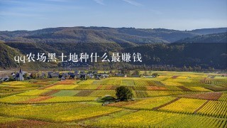 qq农场黑土地种什么最赚钱