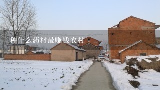 种什么药材最赚钱农村