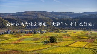 农村养鸡为什么要喂“大蒜”？有什么好处？