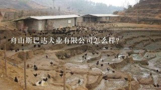 舟山斯巴达犬业有限公司怎么样？