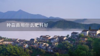 种蒜苗用什么肥料好