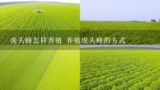 虎头蜂怎样养殖 养殖虎头蜂的方式