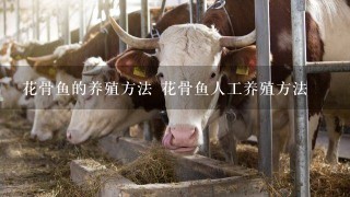 花骨鱼的养殖方法 花骨鱼人工养殖方法